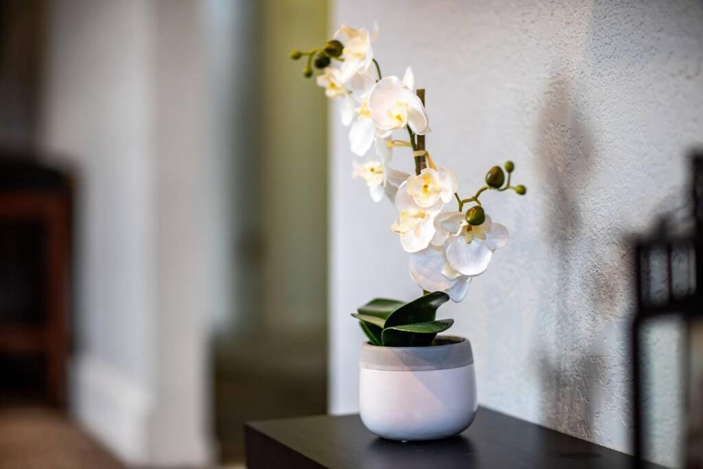 Pet Friendly Millcreek Home Close To Downtown/Mtns Salt Lake City Ngoại thất bức ảnh
